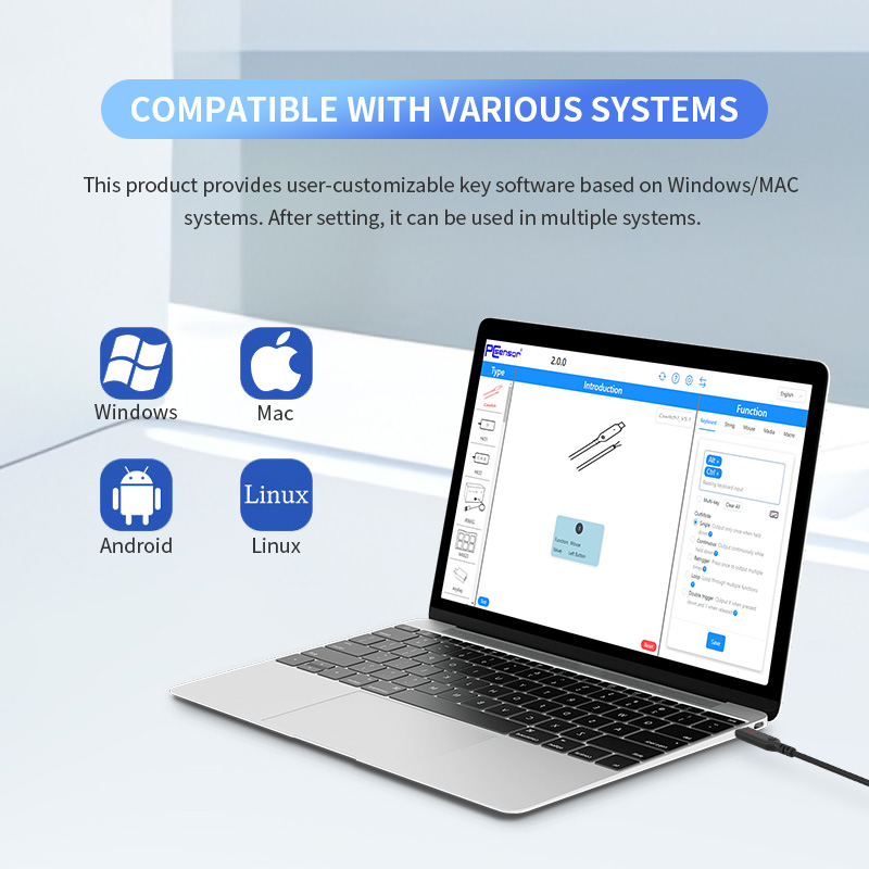 DataCables – PCsensor RDingtech RDing